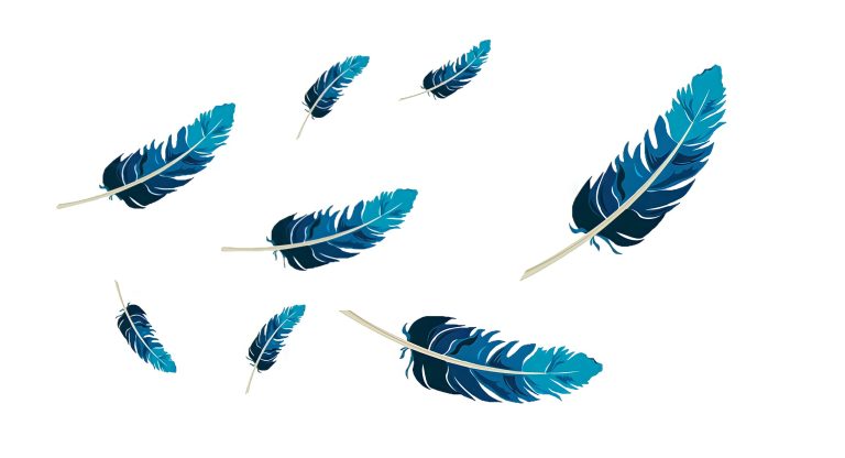 plumes bleues qui volent pour rédaction web